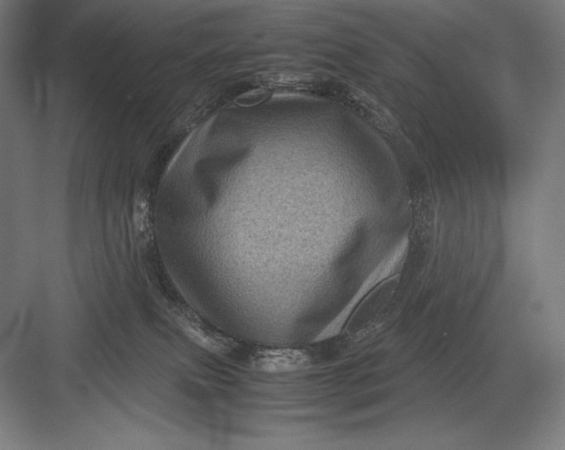 X0000082990087200702160034