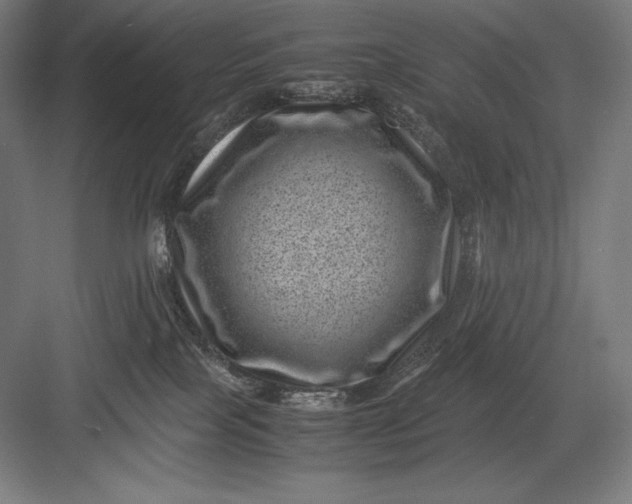 X0000082990089200702160035