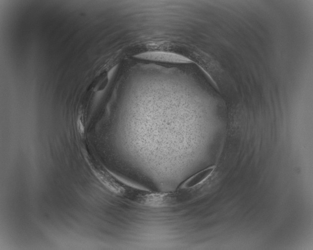 X0000082990090200702160035