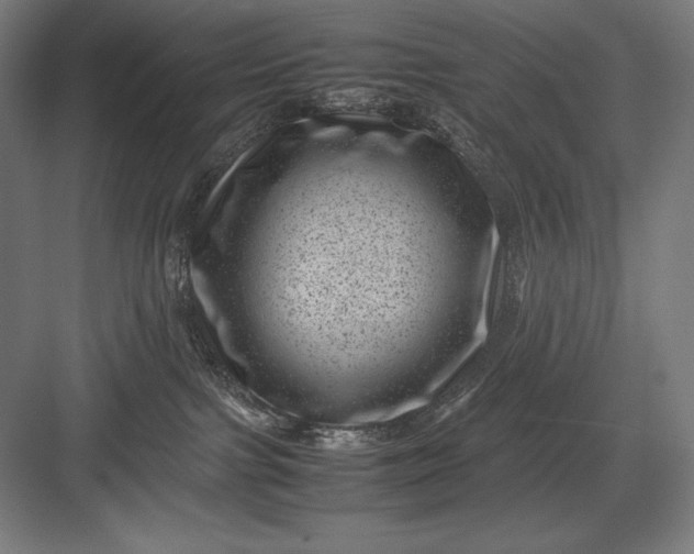 X0000082990091200702160035