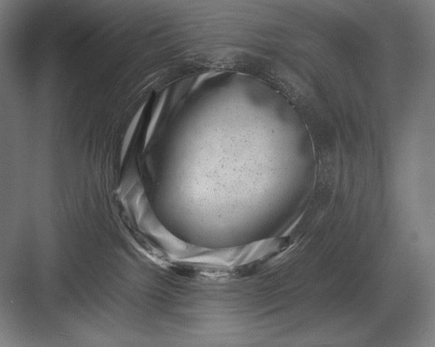 X0000082990092200702160035