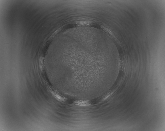 X0000082990093200702160035