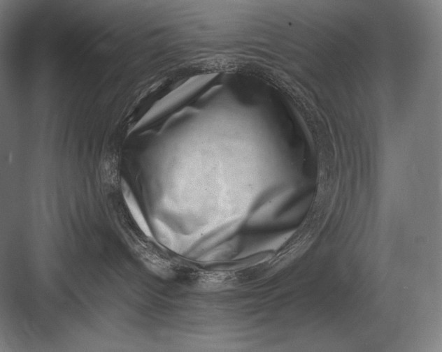 X0000082990096200702160035