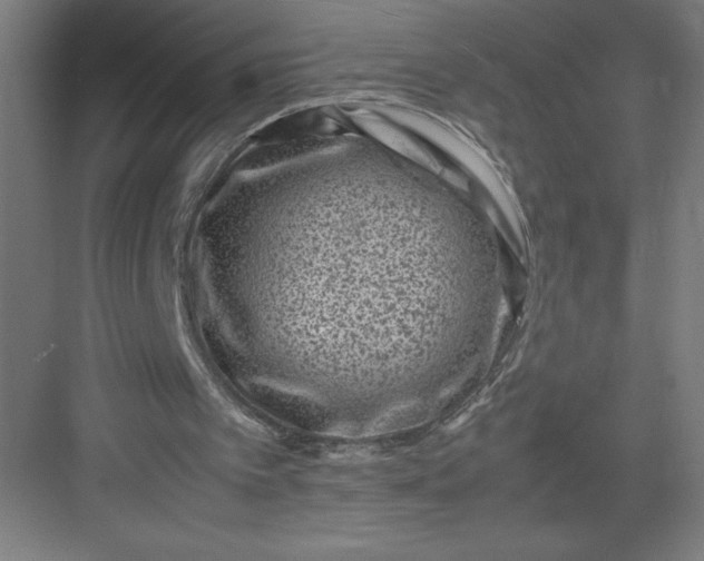 X0000082990097200702160034