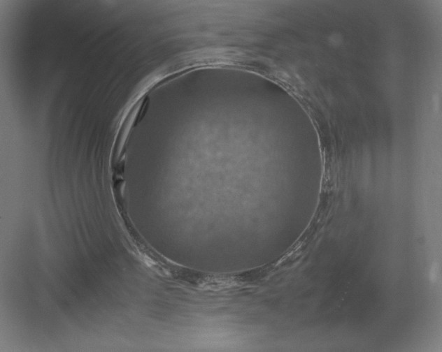 X0000082990099200702160034