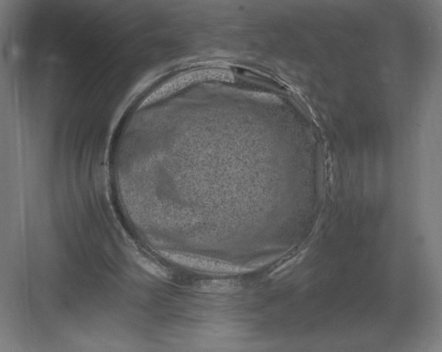 X0000082990102200702160034