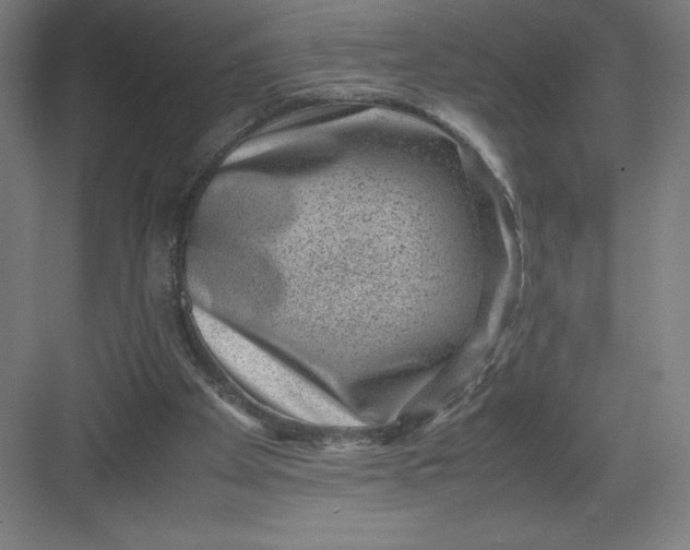 X0000082990105200702160034