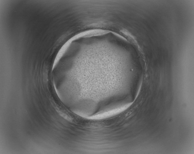 X0000082990106200702160034