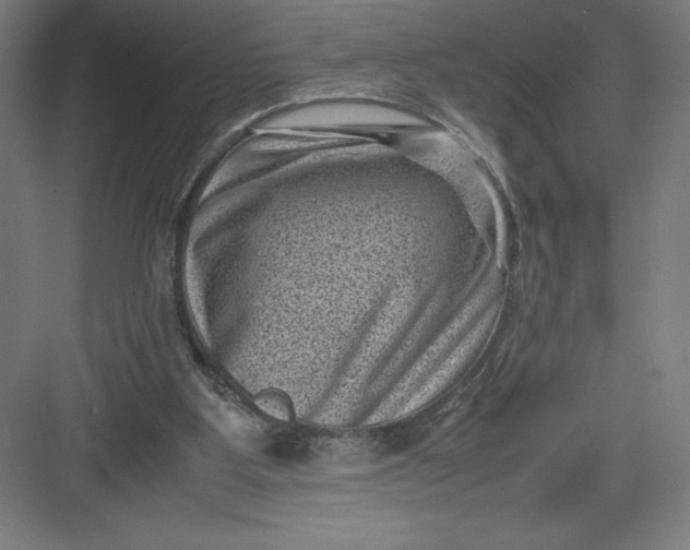 X0000082990107200702160034