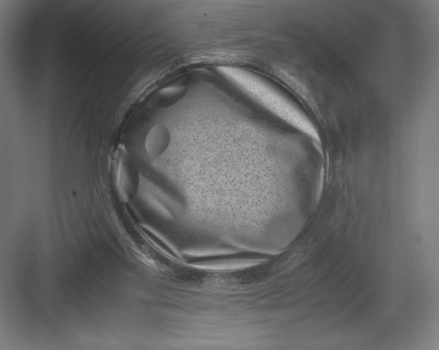 X0000082990109200702160034