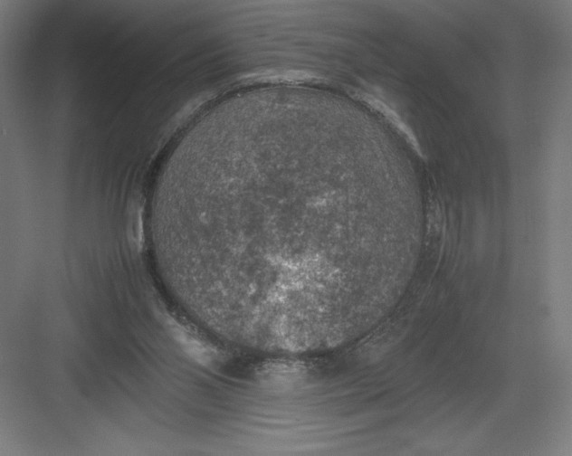 X0000082990110200702160034