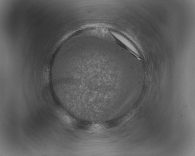 X0000082990111200702160034