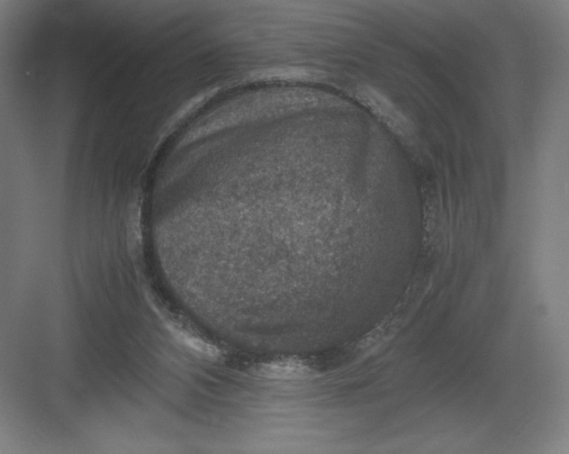 X0000082990112200702160034