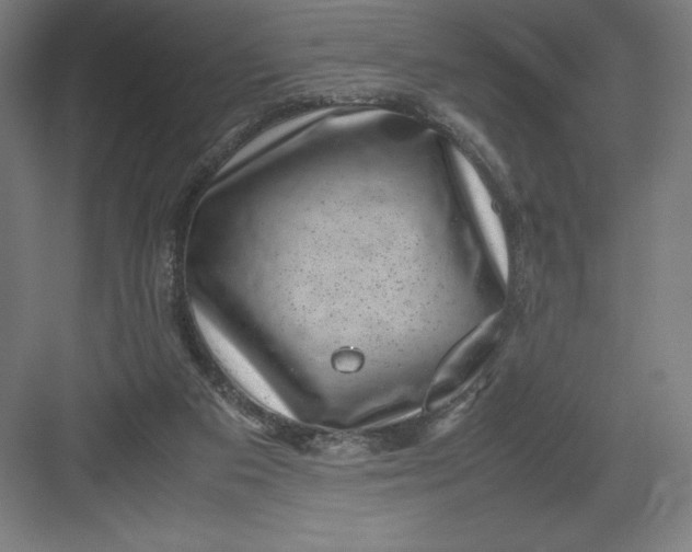 X0000082990113200702160034