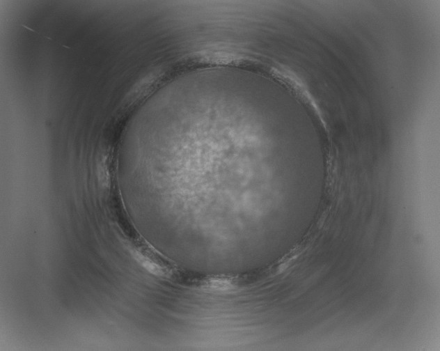 X0000082990114200702160034