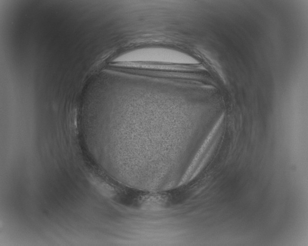 X0000082990115200702160034