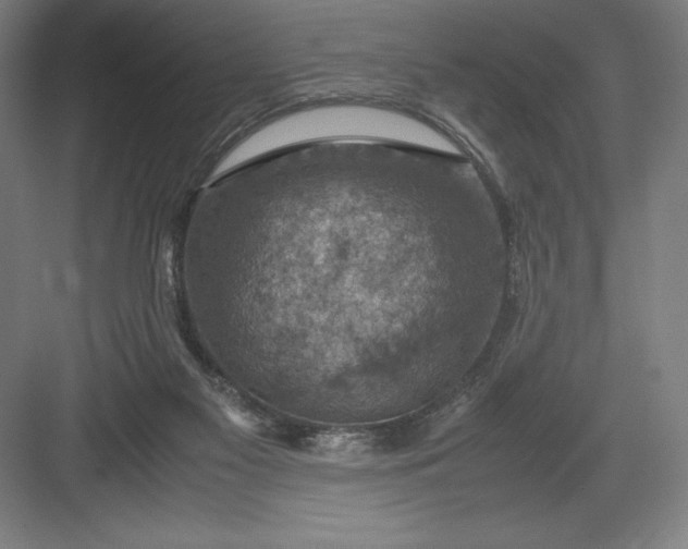 X0000082990117200702160033