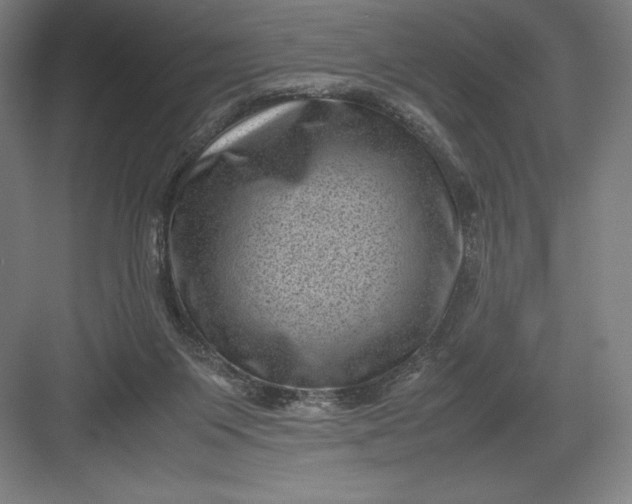 X0000082990119200702160033