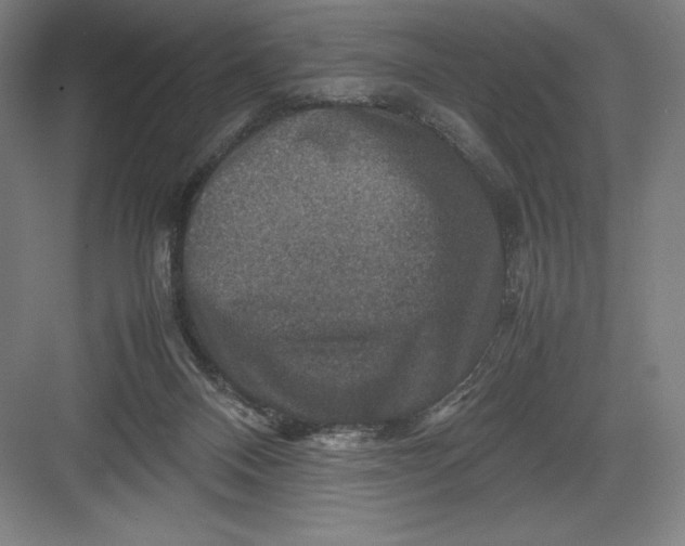 X0000082990120200702160033