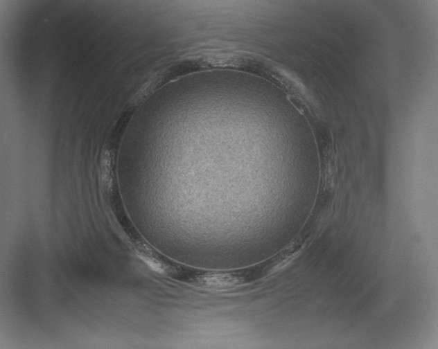 X0000082990121200702160033