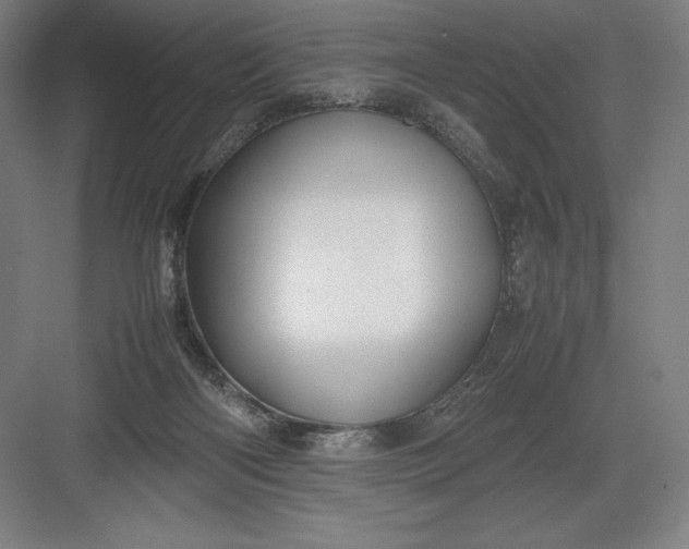 X0000082990122200702160033