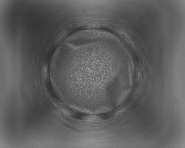 X0000082990123200702160033