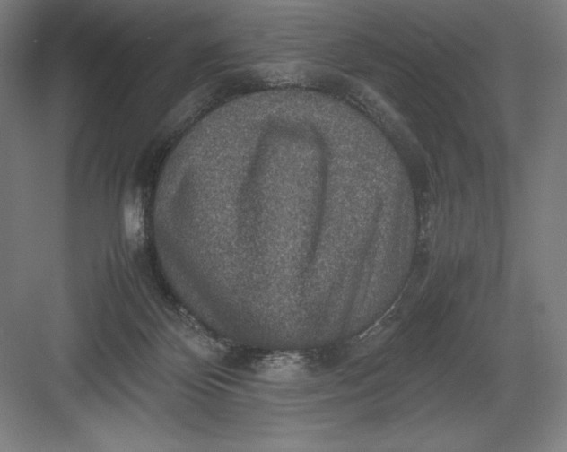 X0000082990124200702160033