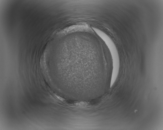 X0000082990125200702160033