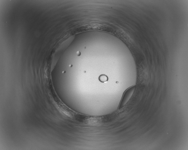 X0000082990126200702160033