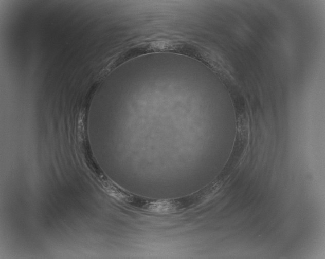 X0000082990127200702160033