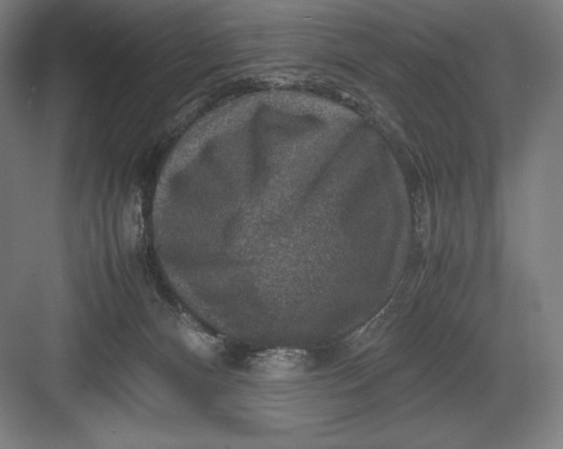 X0000082990128200702160033