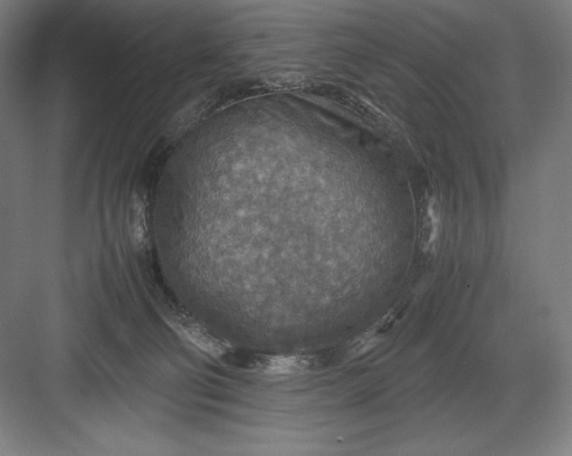 X0000082990130200702160033