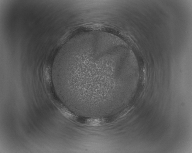 X0000082990131200702160033