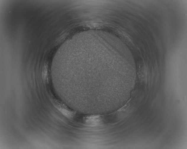 X0000082990132200702160033