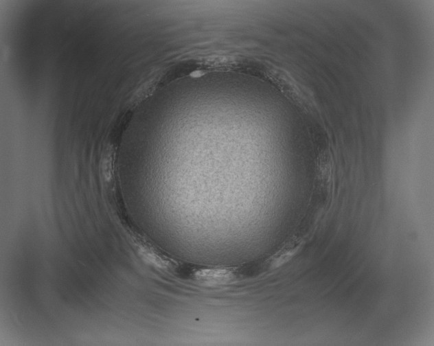 X0000082990133200702160033