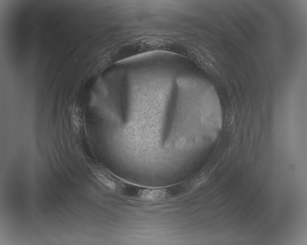 X0000082990135200702160033