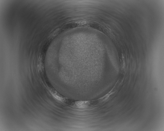 X0000082990136200702160033