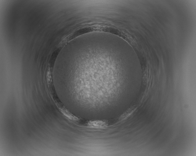 X0000082990137200702160033