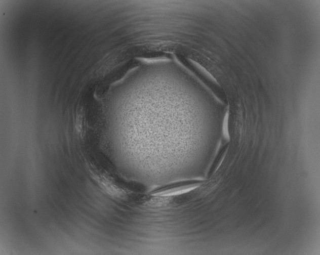 X0000082990138200702160033