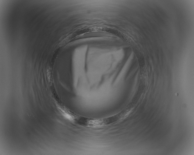 X0000082990139200702160033