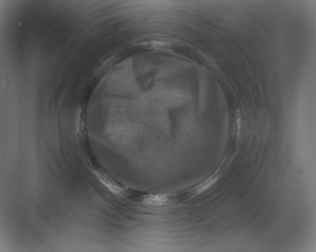 X0000082990140200702160033