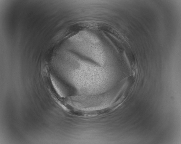 X0000082990141200702160033