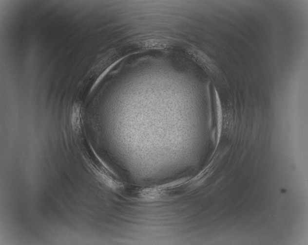 X0000082990142200702160033