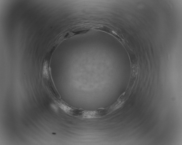 X0000082990143200702160033