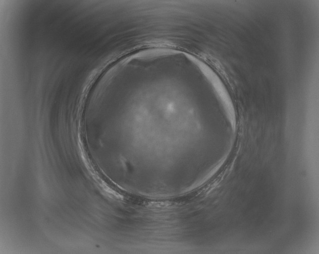 X0000082990145200702160032