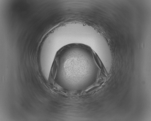 X0000082990146200702160032