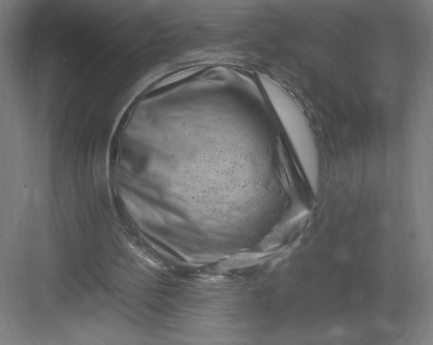 X0000082990148200702160032