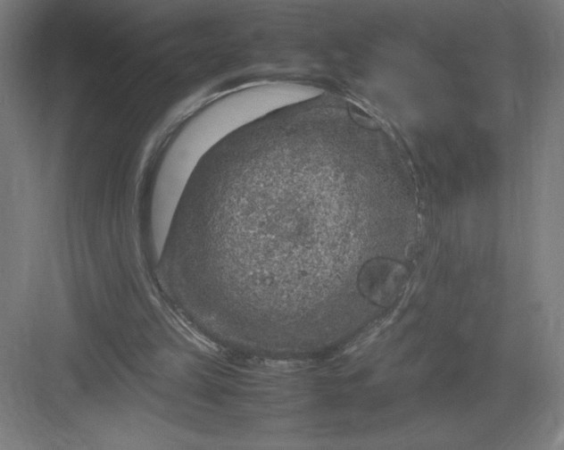 X0000082990149200702160032