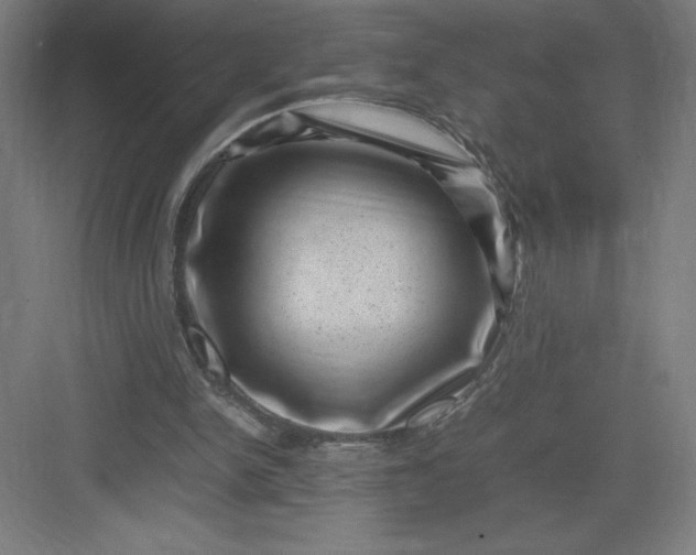 X0000082990150200702160032