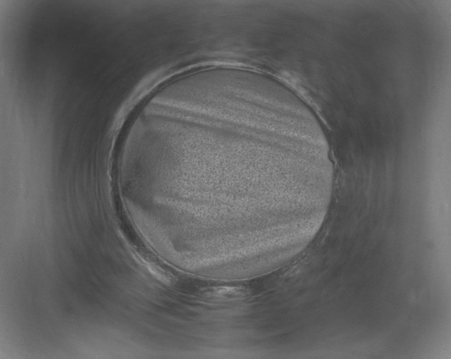 X0000082990151200702160032